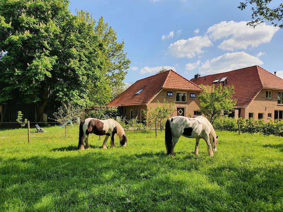 Leuk Boerderijtje Op Prachtige Plek, Nabij Natuurgebied Ruurlo Exterior foto