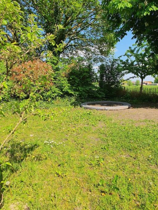 Leuk Boerderijtje Op Prachtige Plek, Nabij Natuurgebied Ruurlo Exterior foto